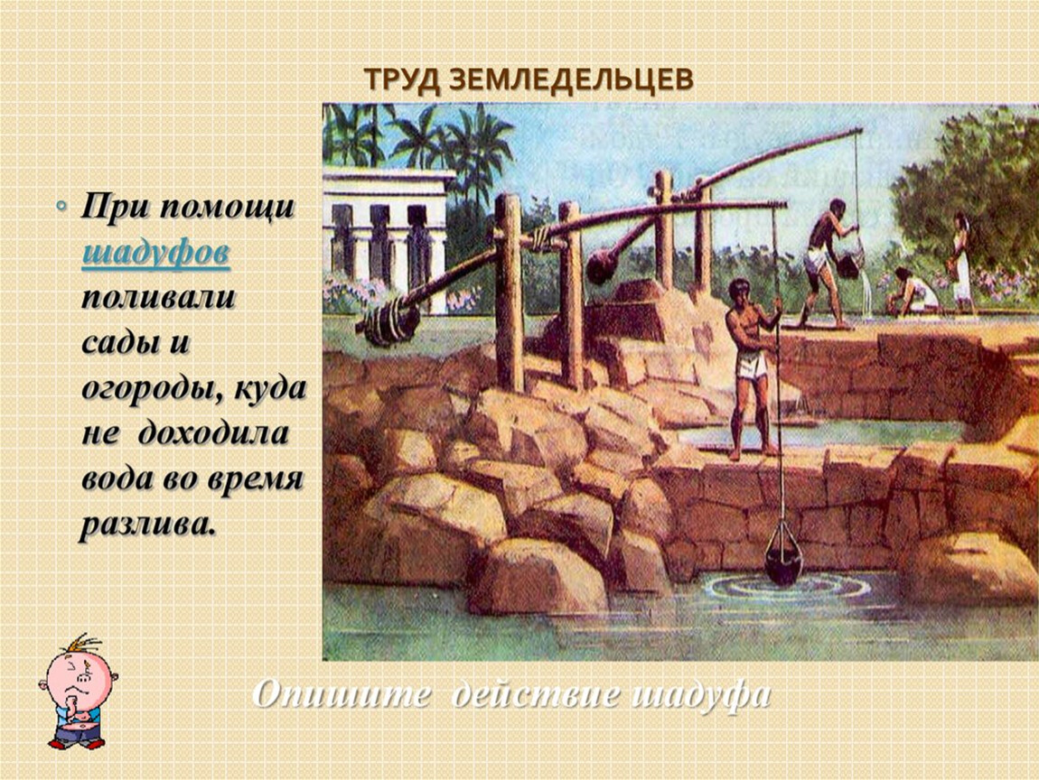 Что такое шадуф в древнем египте история 5 - naidivopros.ru