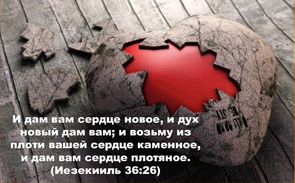 Человек с каменным сердцем: что это означает и как с ним общаться