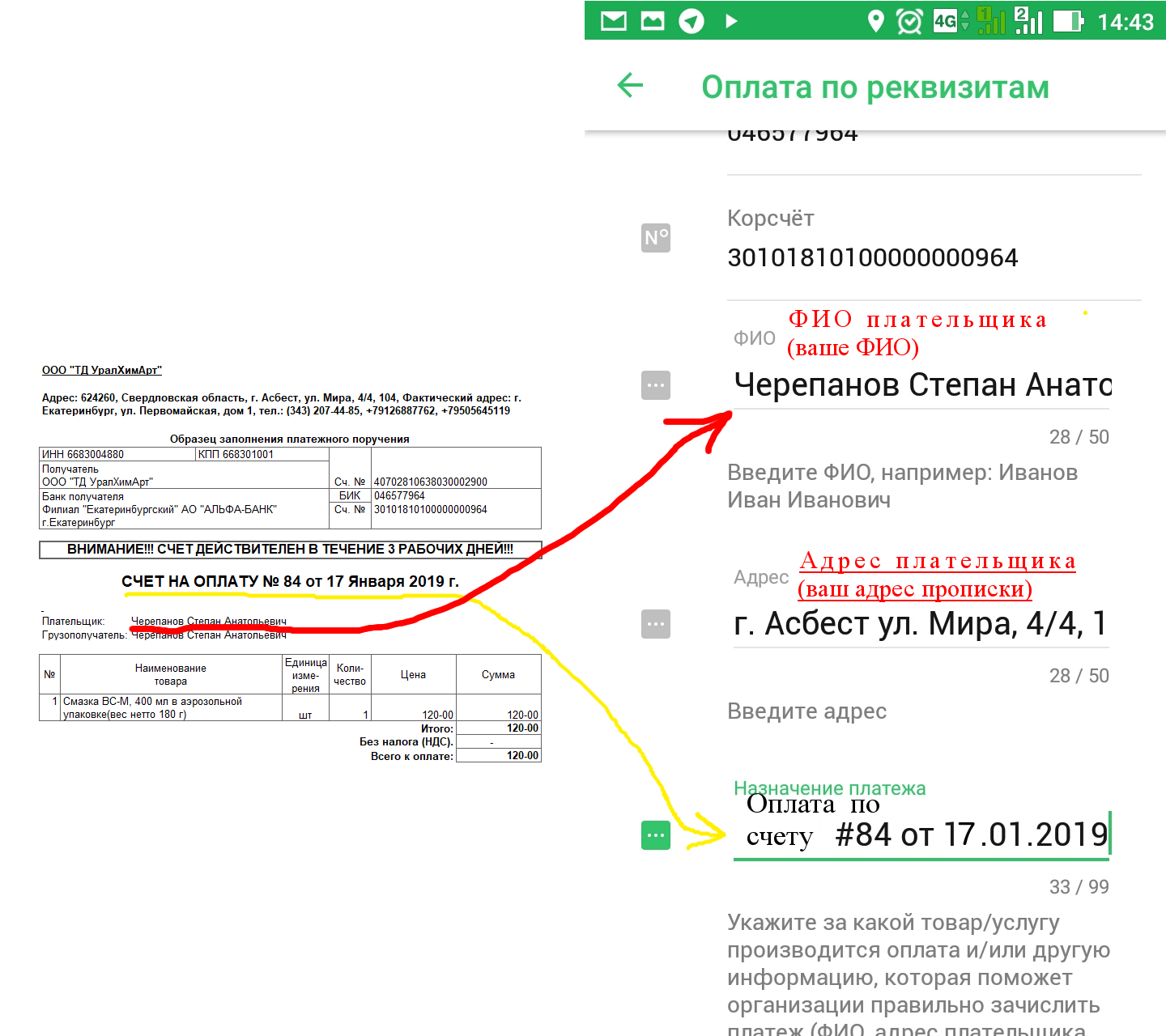 Регистрационный номер сфр: где посмотреть в 2023 году