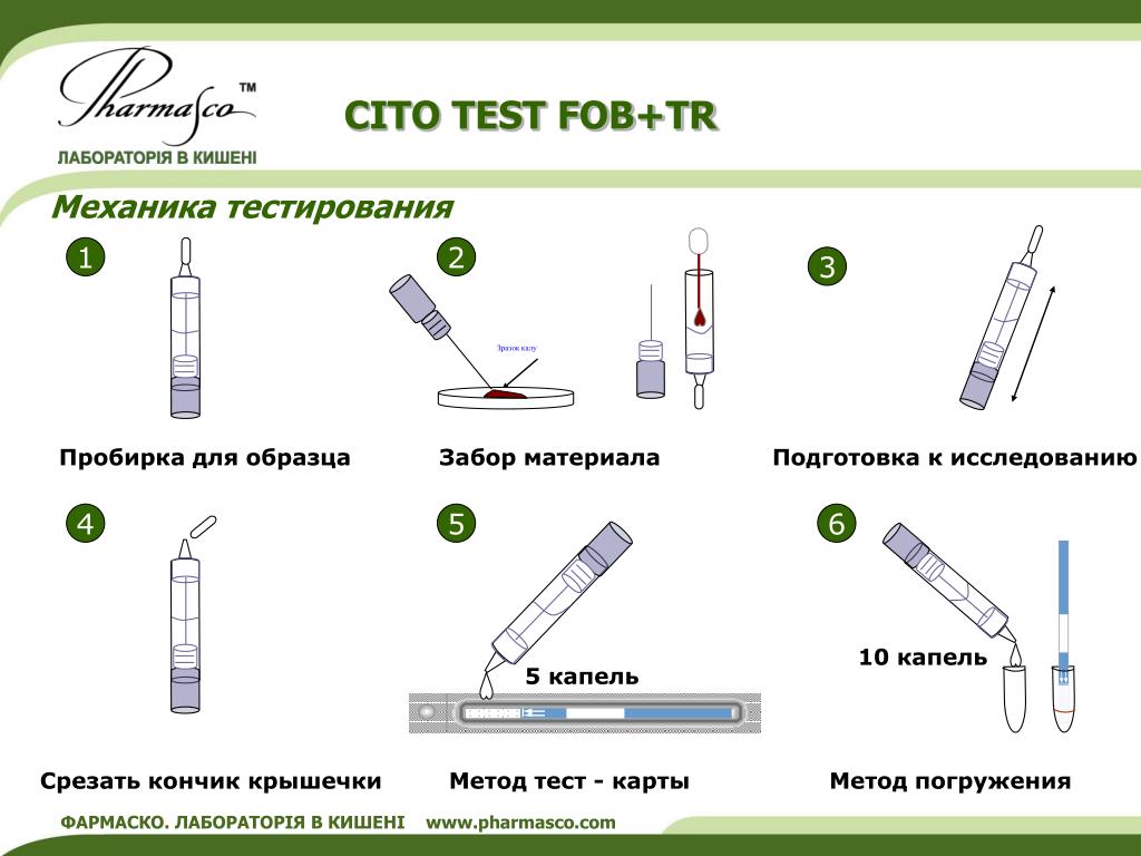Что означает слово «сито» на медицинском направлении