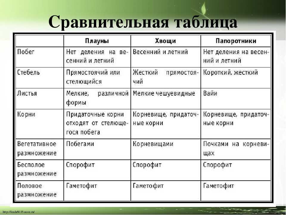 Моховая подушка - что это такое и как она применяется в учебе во 2 классе? - questionsprosi.ru