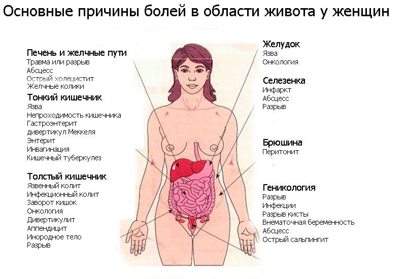 Мужчина касается постоянно моей руки и одежды. как мужчина прикасается к женщине, так к ней и по жизни относится