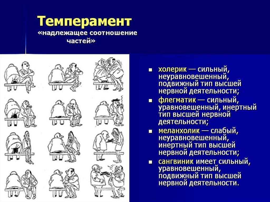 Кто ты ‒ сова, жаворонок, голубь или дельфин: всё о хронотипах и как они влияют на работоспособность | городработ.ру
