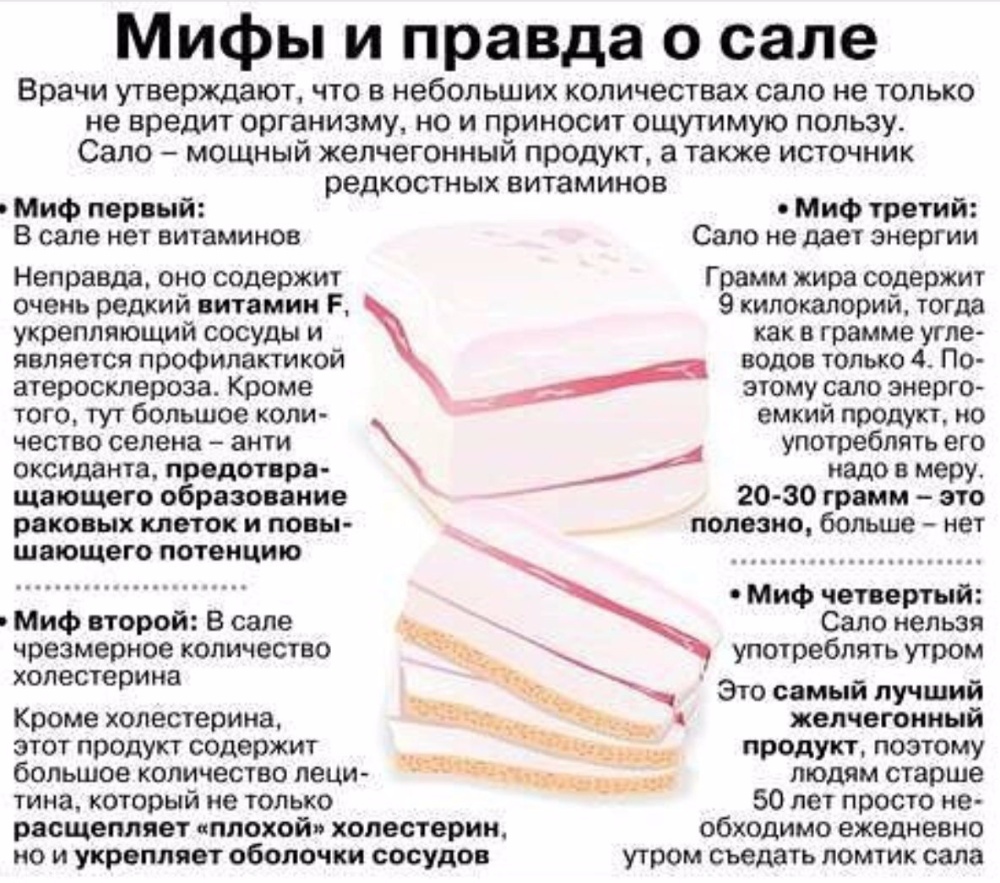 Приветствие мусульман (салям) | muslim.kz