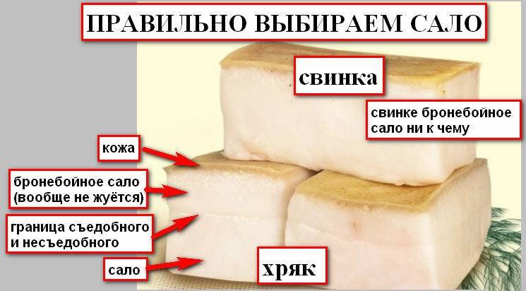 Что значит шалом алейхем алейкум салам. как переводится приветствие «салам алейкум» и что оно означает? как друг друга приветствуют евреи