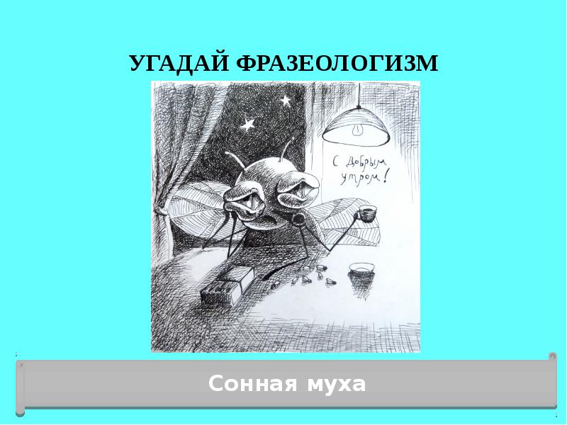 История возникновения выражения "сонная муха": интересные факты и происхождение