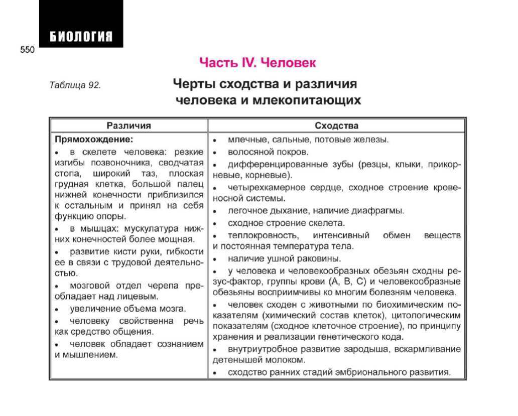 Название простейшего черты сходства черты различия таблица. заключение и выводы