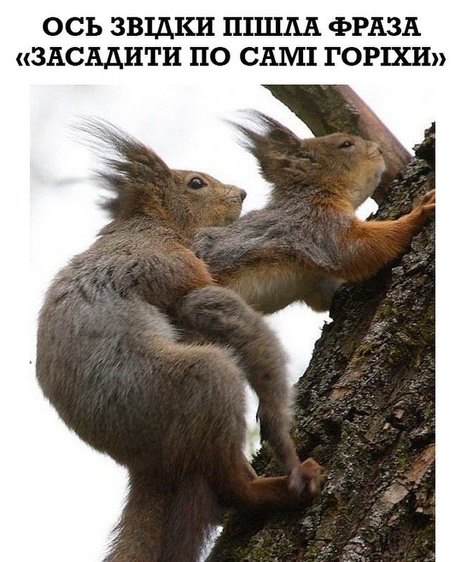 Почему пословицы разных народов имеют одинаковый смысл?