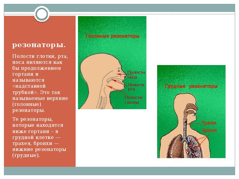 Что означает резонирует с чем-то?