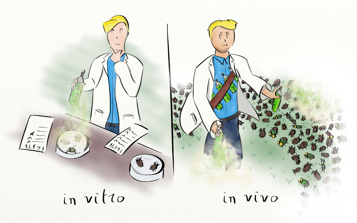 In vivo и in vitro - разница и принципы работы этих методов - maintechistok.ru