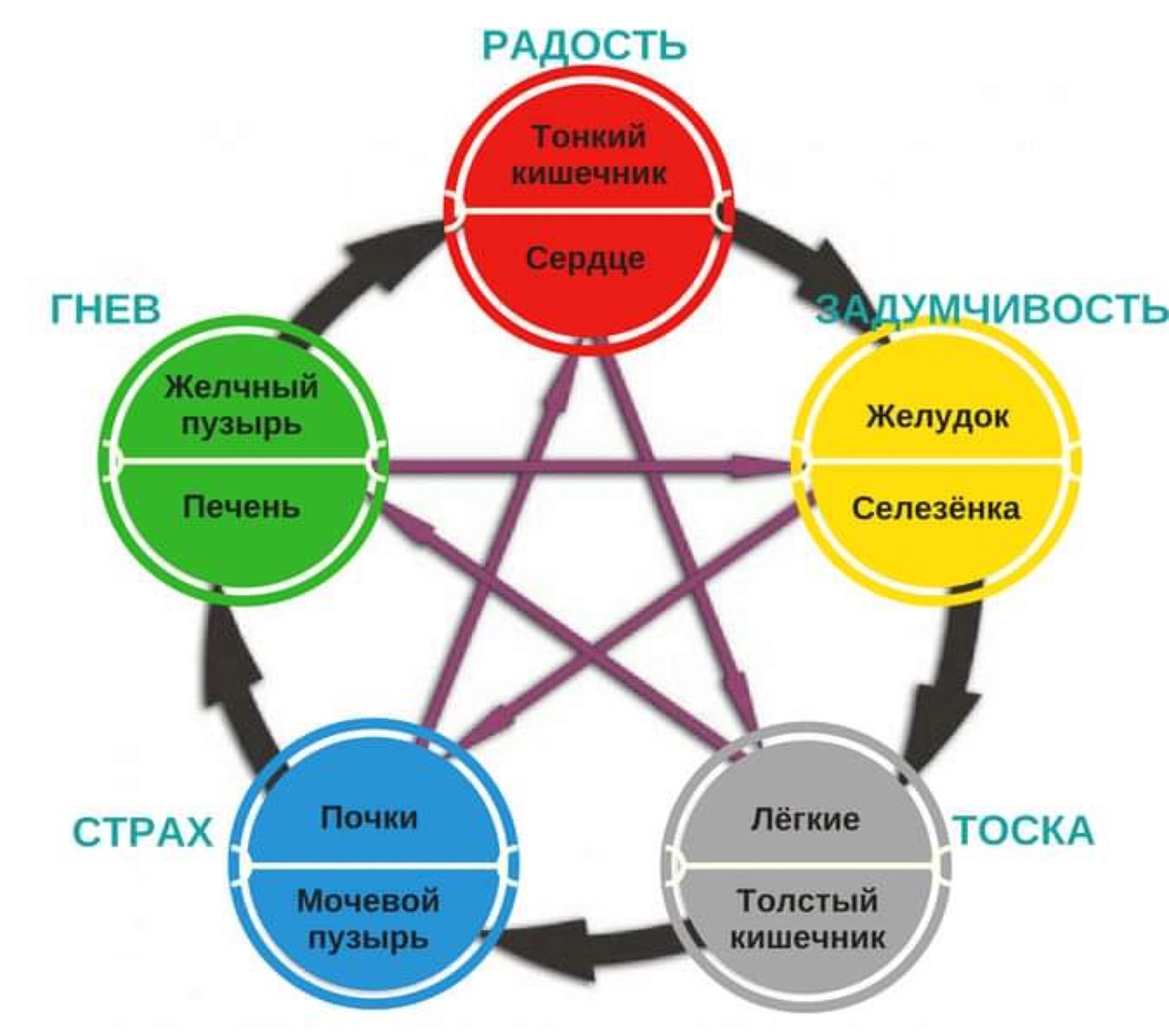 Почему быть эмоциональной девушкой это хорошо (2024)