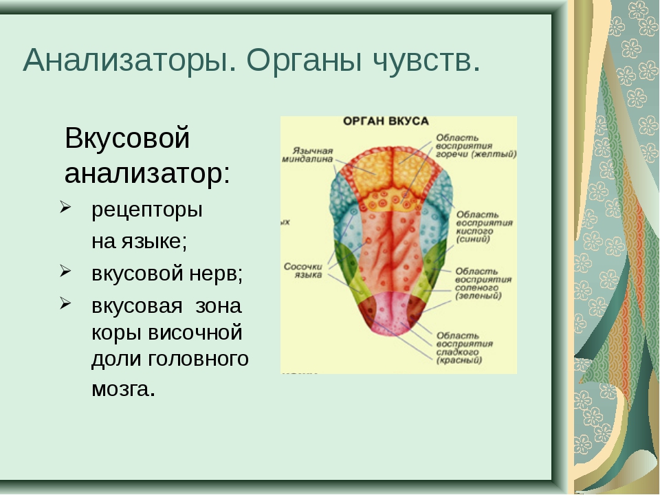 Флеворобразующие вещества