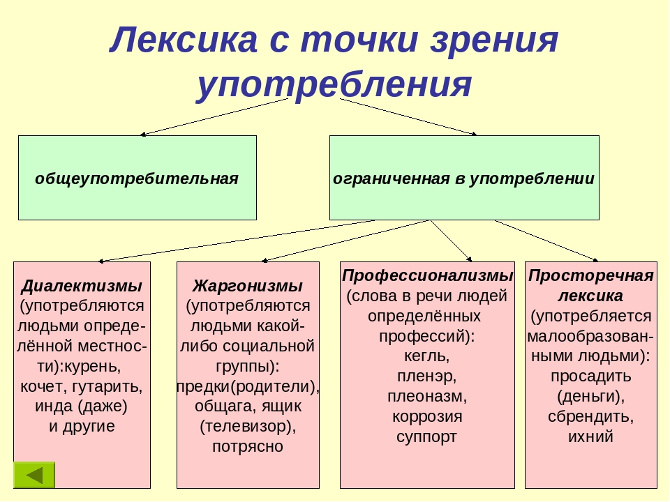 Слова ограниченного и неограниченного употребления (профессионализмы, диалектизмы, аргоизмы, термино.... реферат. литература. 2006-09-15