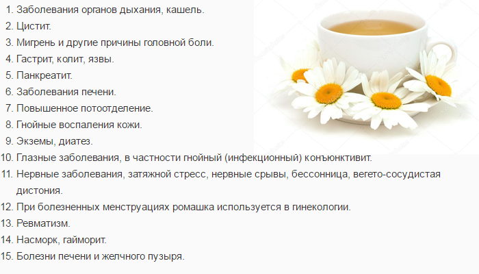 Ромашка аптечная - лечебные свойства, применение и фото ромашки аптечной.
