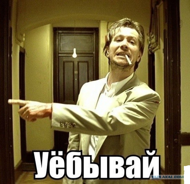 Битте это: самые интересные и удивительные факты о феномене битте