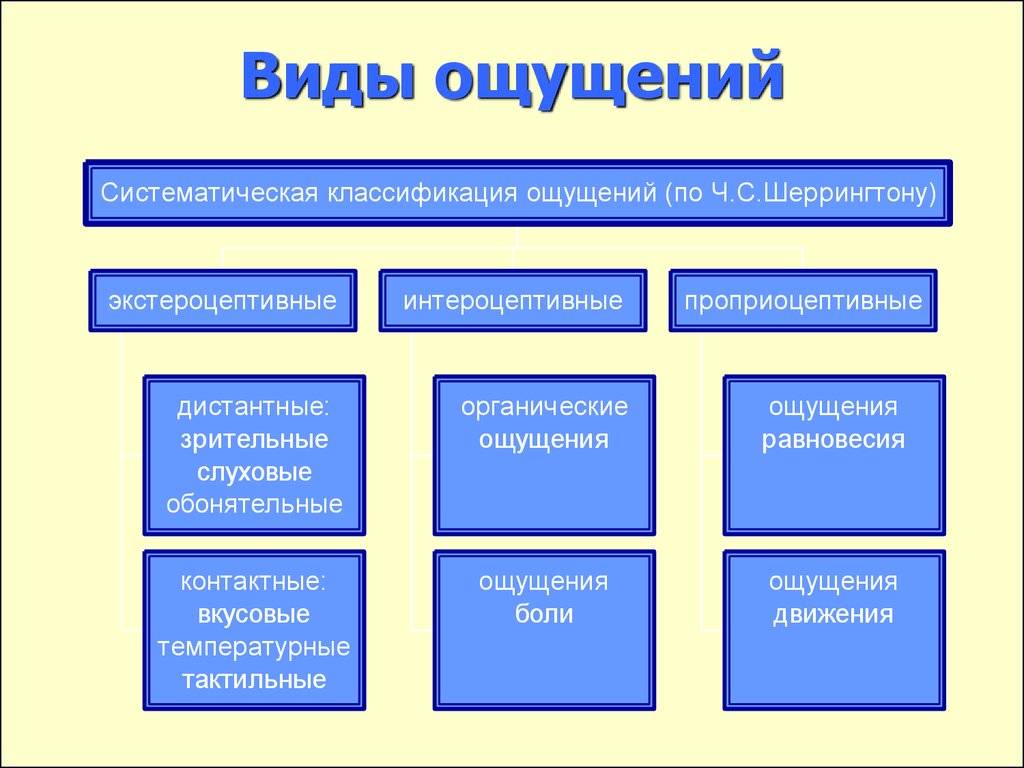 Чем отличается ощущение от восприятия: психология, физиология и различие | mma-spb.ru