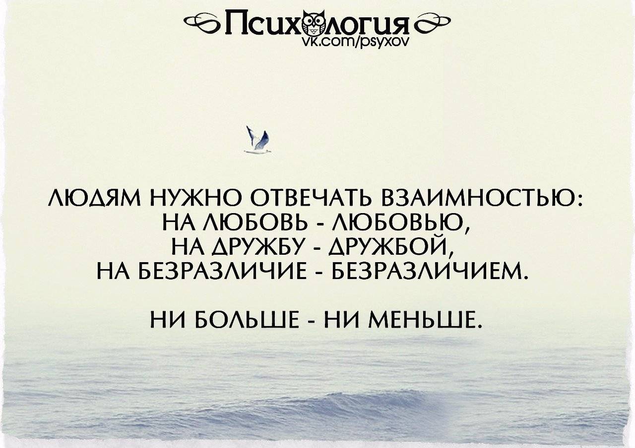 «в чем ценность дружбы?»: топ 8 сочинений для егэ 2024 года