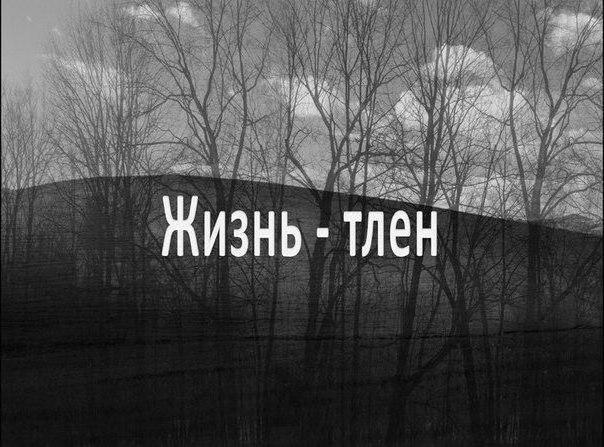 Экзистенциал свободы в философии абсурда и бунта альбера камю | статья в журнале «молодой ученый»